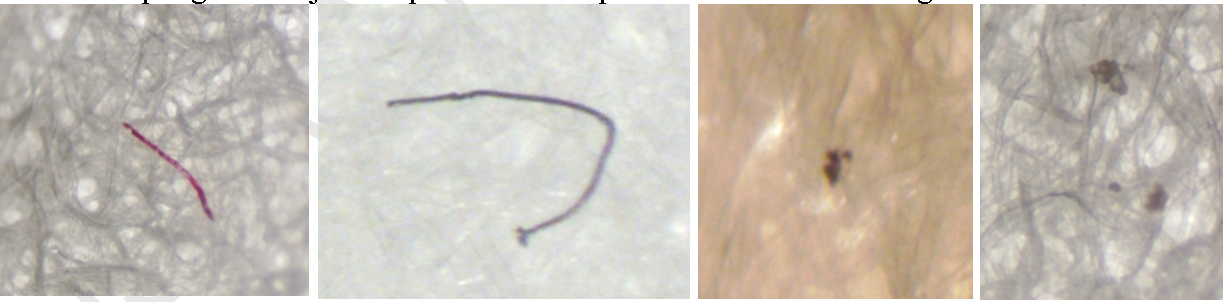 Inhibisi